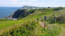 Walking trail on Pembrokeshire Coast Path National Trail in Cardigan
