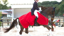 Rider and horse on course at Hallingbury Hall Equestrian Centre in Bishops Stortford