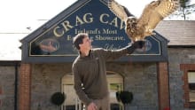Staff holding owl at Kingdom Falconry in Castleisland