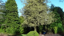 Walking path at Hazlehead Park in Aberdeen