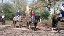 People horse riding at Burley Manor Riding Stables in Ringwood