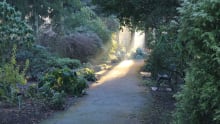 Walking trail at National Botanic Gardens in Dublin