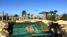 Waterfall at Dinosaur Safari Adventure Golf in Barnet