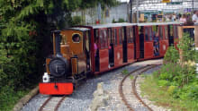 Families on train at South Downs Light Railway in Pulborough