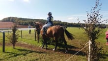 Horse and rider at Earnsdale Farm Riding School in Darwen
