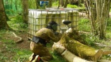 Camouflaged paintball player at Survival Laser Tag in Barnstaple