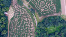 Mazes at Quex Maize Maze in Birchington