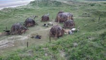 Huts at Druridge Bay Country Park in Morpeth