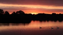 Sunset at Attenborough Nature Reserve in Beeston