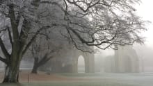 Ruins of Glastonbury Abbey