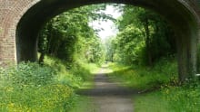 Walking path at Clare Castle Country Park in Sudbury