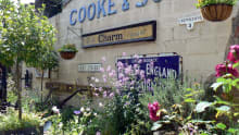 Plants at Crewkerne and District Museum