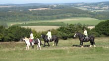 People horse riding at Willowbrook Riding Centre in Chichester