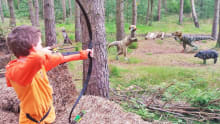 Boy aiming at dinosaurs at Bowhunter Archery in Nairn