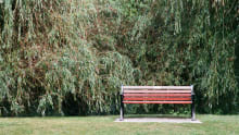 Bench at Ray Mill Island in Maidenhead