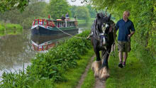 Horse pulling barge boat at Kennet Horse Boat Company in Hungerford