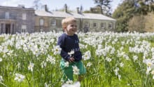A little boy in Spring at Arlington Court, photo credit National Trust image/Chris Lacey