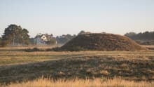 An image of the mound at Sutton Hoo 