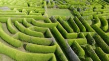 Hedge maze at Kildare Maze in Naas