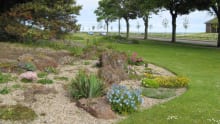 Flowers at Barnhill Rock Garden in Dundee