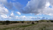 Field of Donna Nook Nature Reserve in Louth