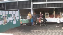 Apple Day event at Harlow Town Park