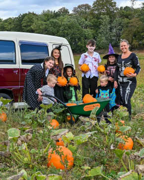 Halloween at Stockeld Park featured image
