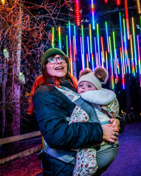 Christmas at Stockeld featured image