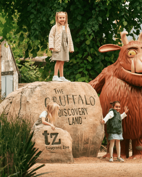 Step Into The Story at The Gruffalo Discovery Land at Twycross featured image
