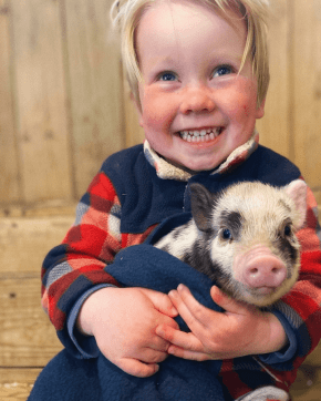 Pennywell Farm