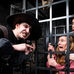 There's 13 Immersive Shows