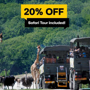 20% Off Tickets Today!