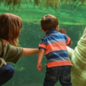 mum and son at the aquarium