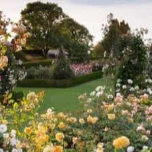 Accessible garden pathways suitable for wheelchairs and pushchairs