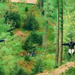 Step up to bigger forest thrills