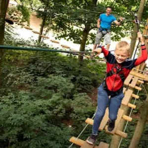 Take it up a level with Treetop Adventure Plus