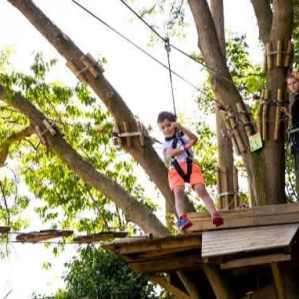 Treetop Adventure for younger climbers