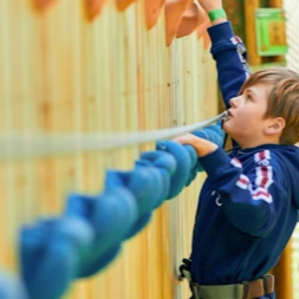 Bigger thrills on Treetop Adventure Plus