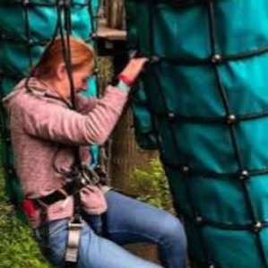 Build Confidence with Treetop Adventure Plus