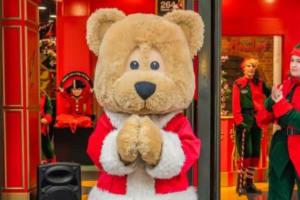 Hamley Bear