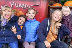 Pumpkin field at Mr Pumpkin, Lime Farm, Mansfield Road, Morley, Derbyshire