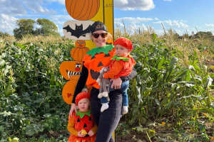 Pumpkins ready to pick at Sandy Bottom Farm Pumpkins near Hedon, East Yorkshire
