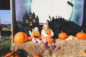 Things to do at Sandy Bottom Farm pumpkin patch in Hedon, Hull, East Yorkshire
