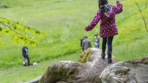 Colby Woodland Garden - Featured Image - 2
