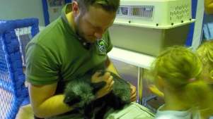 Man holding animal at The Beach Hut in Cannock