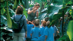 Kids learning at The Living Rainforest in Newbury