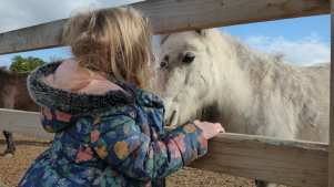 Girl stroking Shetland pony at Redwings Ada Cole in Nazeing
