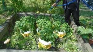 Garden in Highfield Adventure Playground in Sheffield