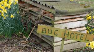 Bug Hotel at Beale Park in Reading