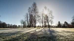 Winter at Rouken Glen Park in Giffnock